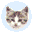 EF File Catalog