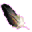ApHeMo