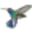 Corel AfterShot Pro