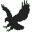 Black Bird Cleaner