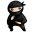 System Ninja